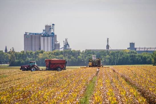Agriculture Industry